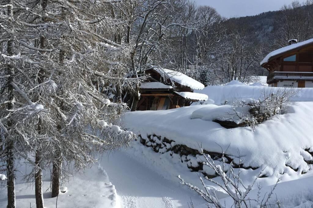 Le Cerf Du Bois - Luxury Duplex Apartment In Megeve Exterior photo